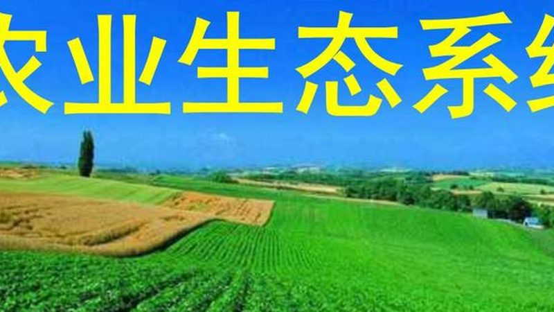 休闲农业有机种植，补贴政策知多少？**