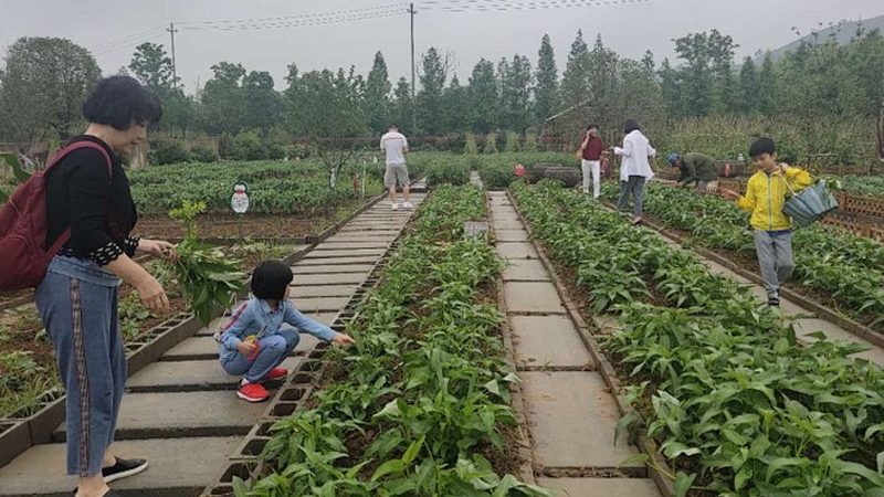 农药化肥厂家推荐