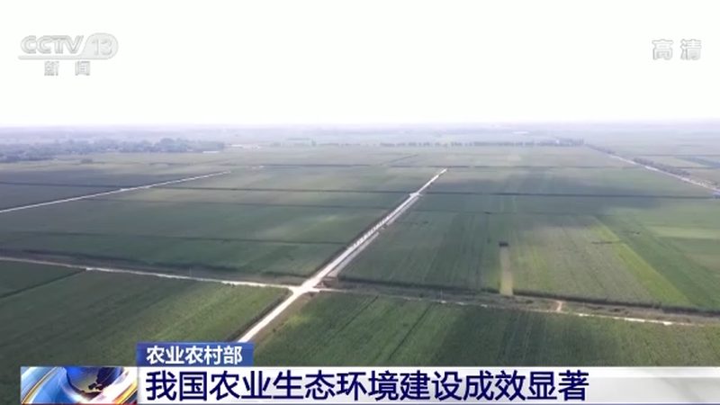 误区一：只看价格，忽视性能