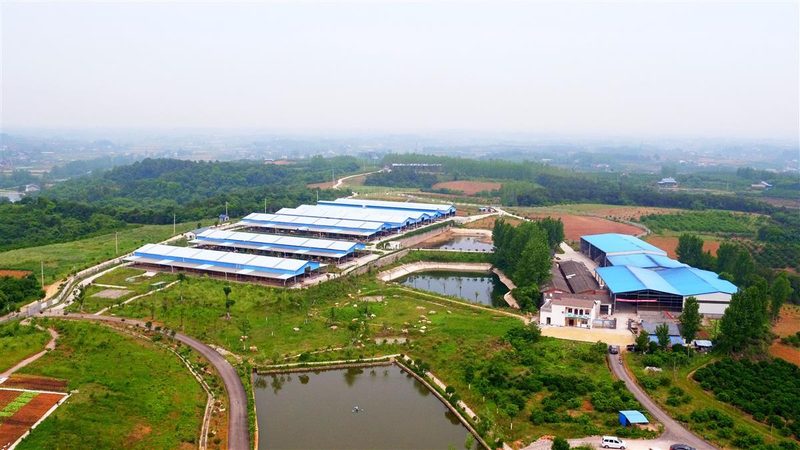 农业项目风险评估：构建科学评估体系的要点