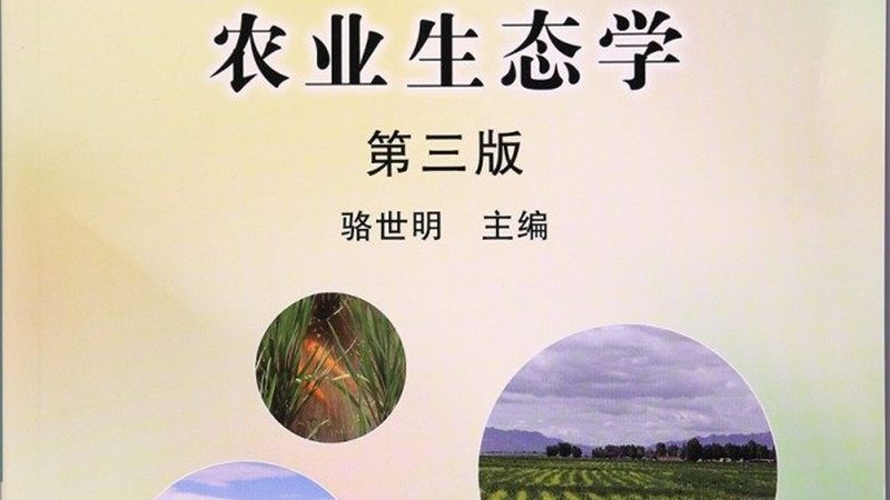 粮食种植补贴政策文件号揭秘：了解补贴背后的秘密