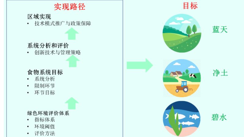 有机蔬菜定制套餐运输，这些注意事项不容忽视
