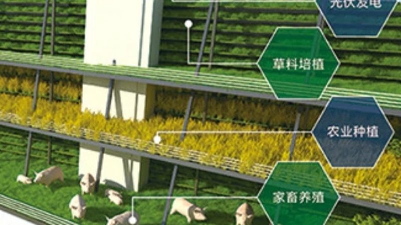 农产品供应链金融：如何盘活农业产业链**