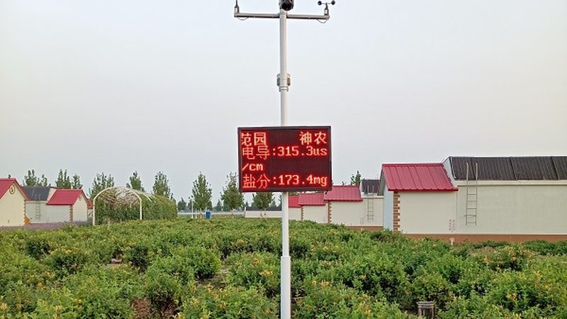 蔬菜基地灌溉系统：高效灌溉的智慧选择**