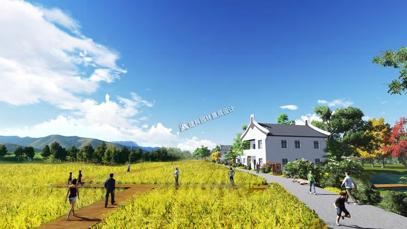 无土栽培农业种植加盟：了解条件，开启绿色未来