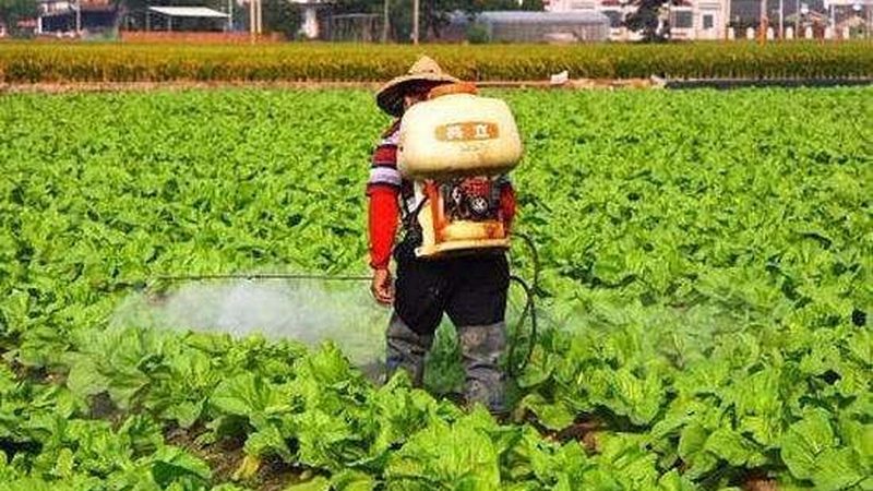 探寻浙江休闲农业基地的魅力与考察要点