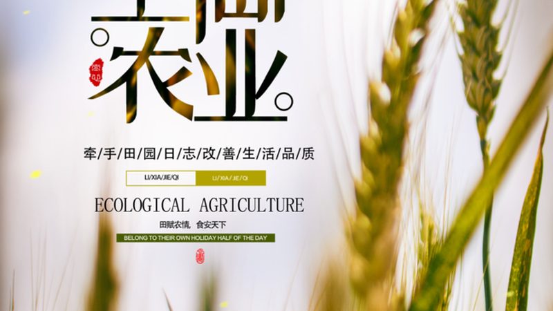 高温大棚蔬菜种植，这些注意事项不容忽视**